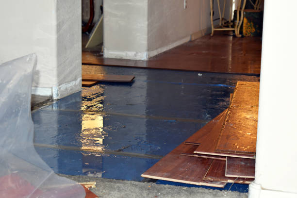 Professional Flood Damage Restoration technician working in Peck, MI